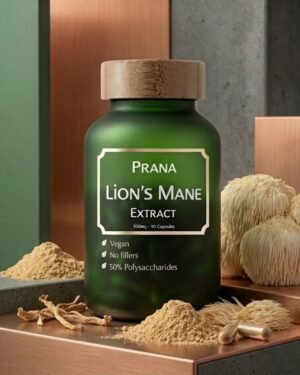 Lion's Mane - 90 Capsules