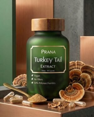 Turkey Tail - 90 Capsules